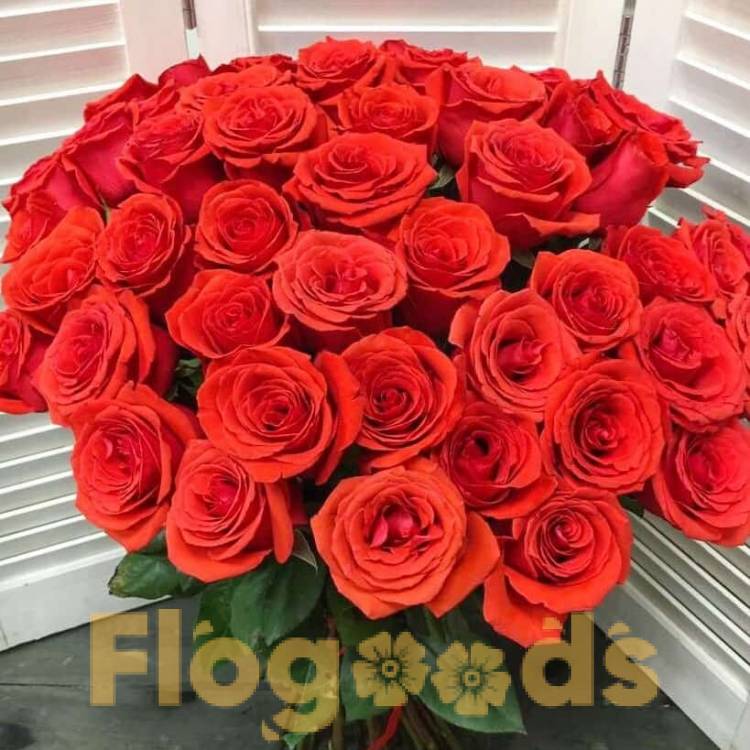 51 красная роза за 20 464,50 руб.